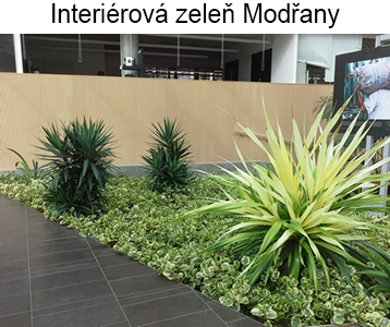 interierova_zelen_modrany.png